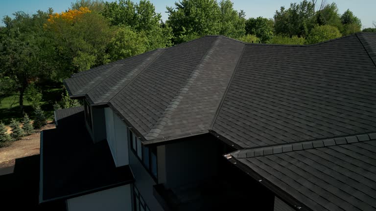 Best Storm Damage Roof Repair  in Cottonde, AL