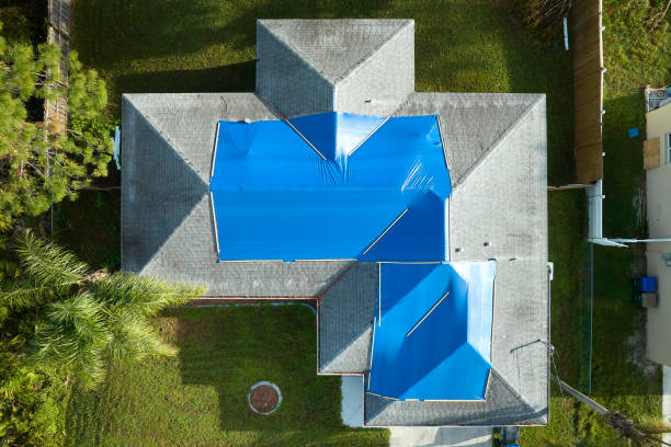 Best Metal Roofing Installation  in Cottonde, AL