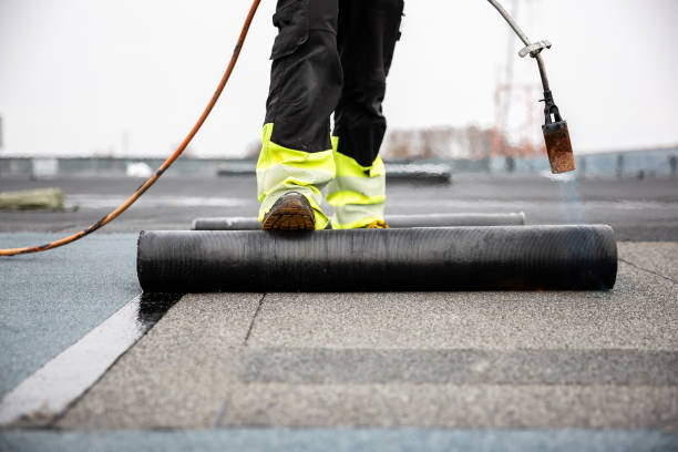 Best Roof Ventilation Installation  in Cottonde, AL