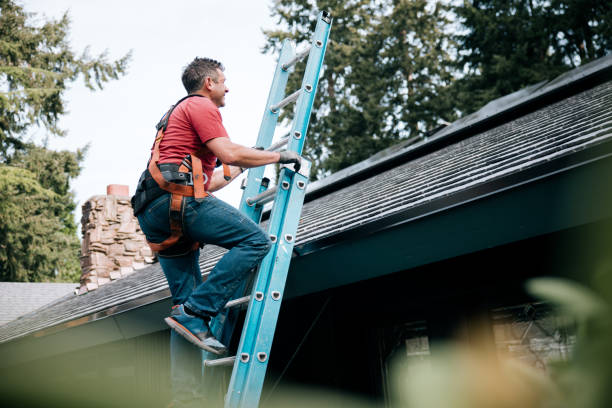 Best Roof Maintenance and Cleaning  in Cottonde, AL